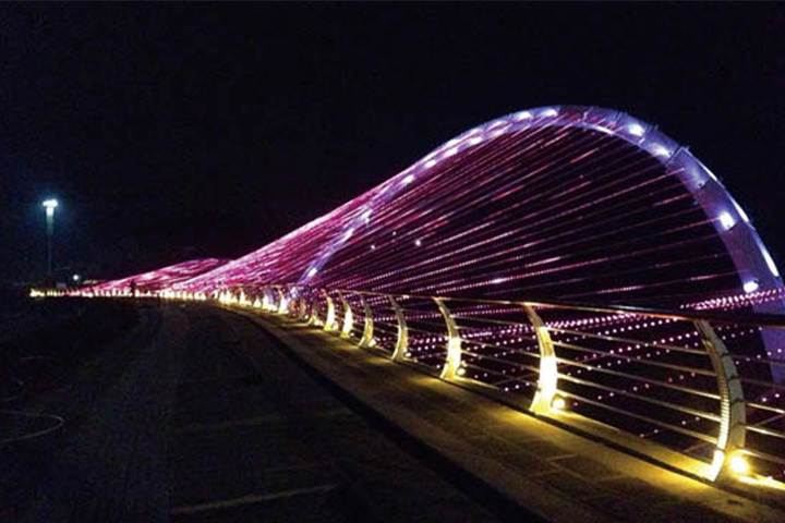 贵州百里杜鹃桥